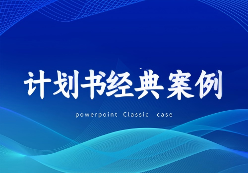计划书经典案例